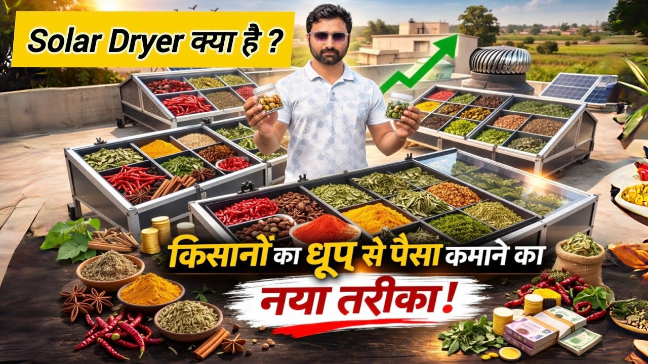 किसानों का धूप से पैसा कमाने का नया तरीका | Solar Dryer कैसे काम करता है? पूरी जानकारी