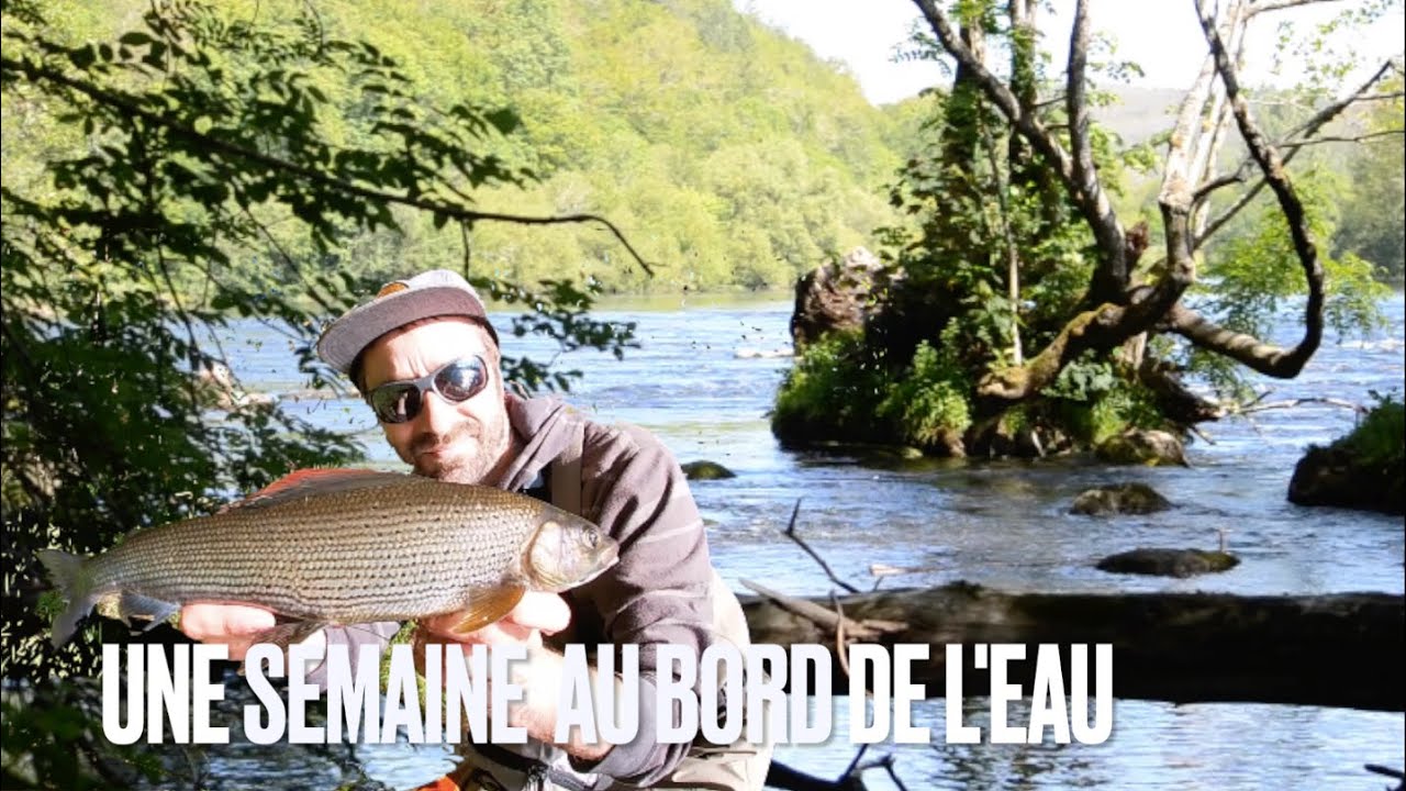 A la recherche des TRUITES en GRANDE RIVIÈRE