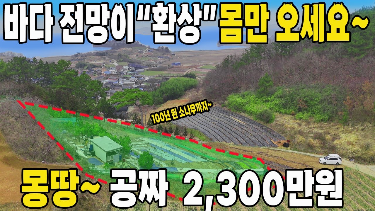 (속보) 몽땅~ 공짜입니다. 코앞 바닷가 토지 초급매~ 계약취소로 판매중~