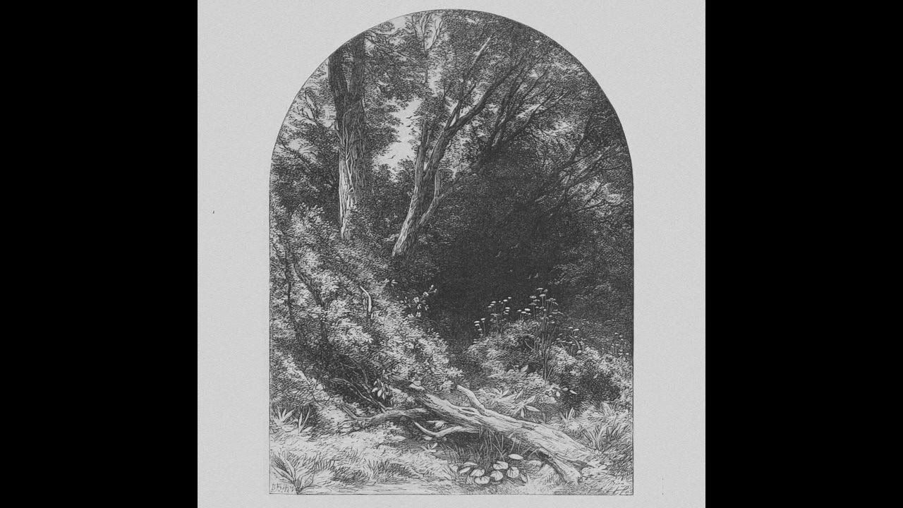 Acasia - Acasia (2024) (Dungeon Synth)