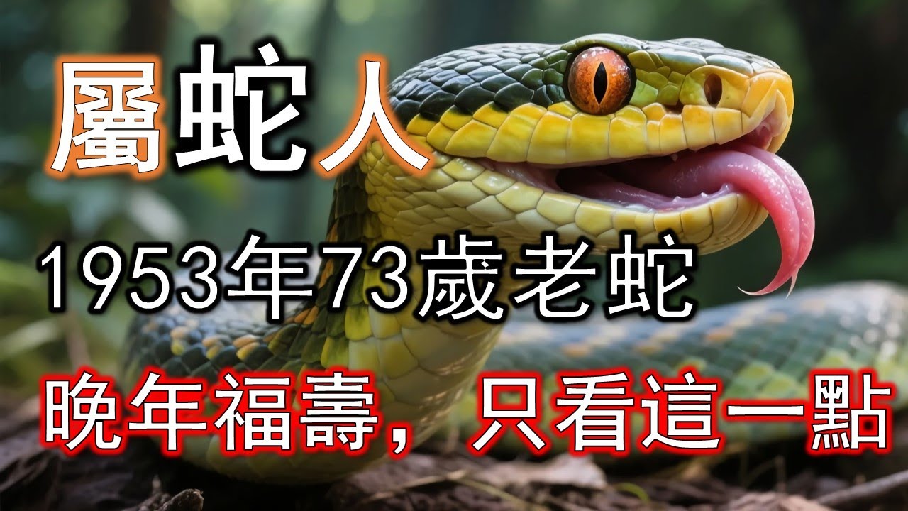 屬蛇人的人際智慧：聽懂沉默的力量。癸巳蛇不愛多言，但觀察力強。73歲後懂得「沉默比辯解更有力」。這種穩定氣場，最能化解衝突#生肖蛇#屬蛇人#1953 蛇