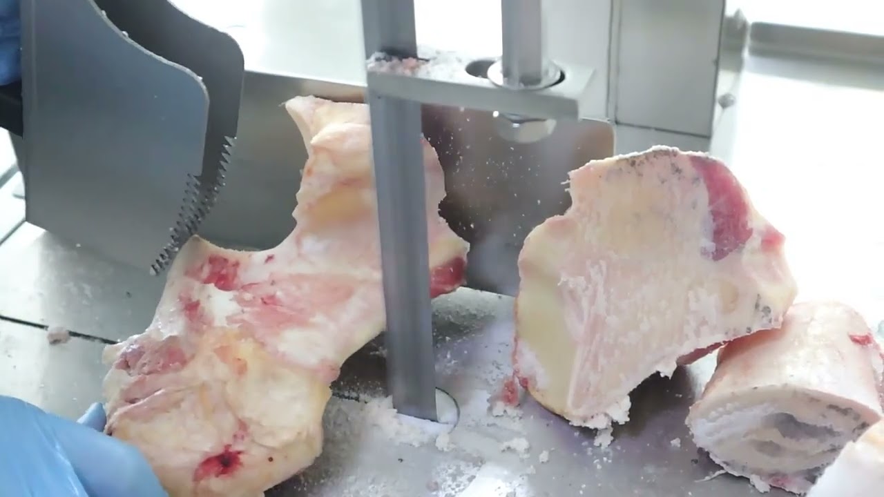 J210/2 bone saw machine