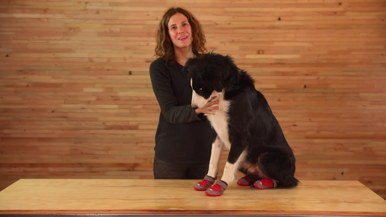 How to Fit Ruffwear's Grip Trex&trade; Boots