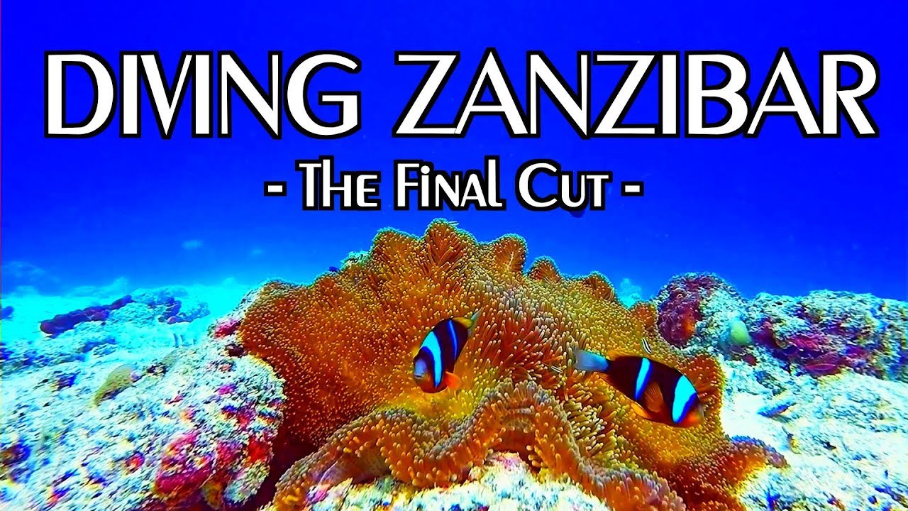 Scuba Diving in ZANZIBAR is UNBELIEVABLE !