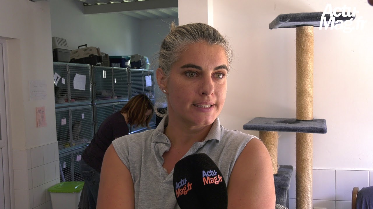 Reportage : Découverte du Refuge SPA de Chamarande