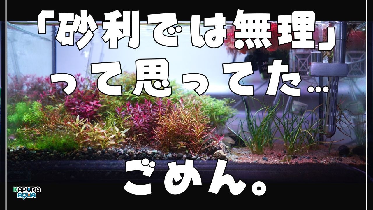 【完全版】7ヶ月足し水だけ！砂利で育つってマジ？大磯砂でここまでできた理由、全部話します【アクアリウム】初心者 45cmスリム水槽 水草レイアウト
