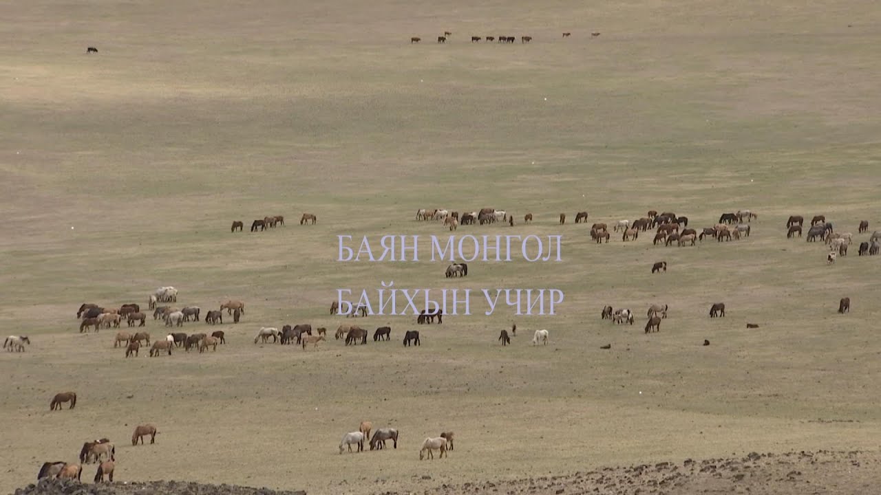 Төл таван эрдэнэ: 