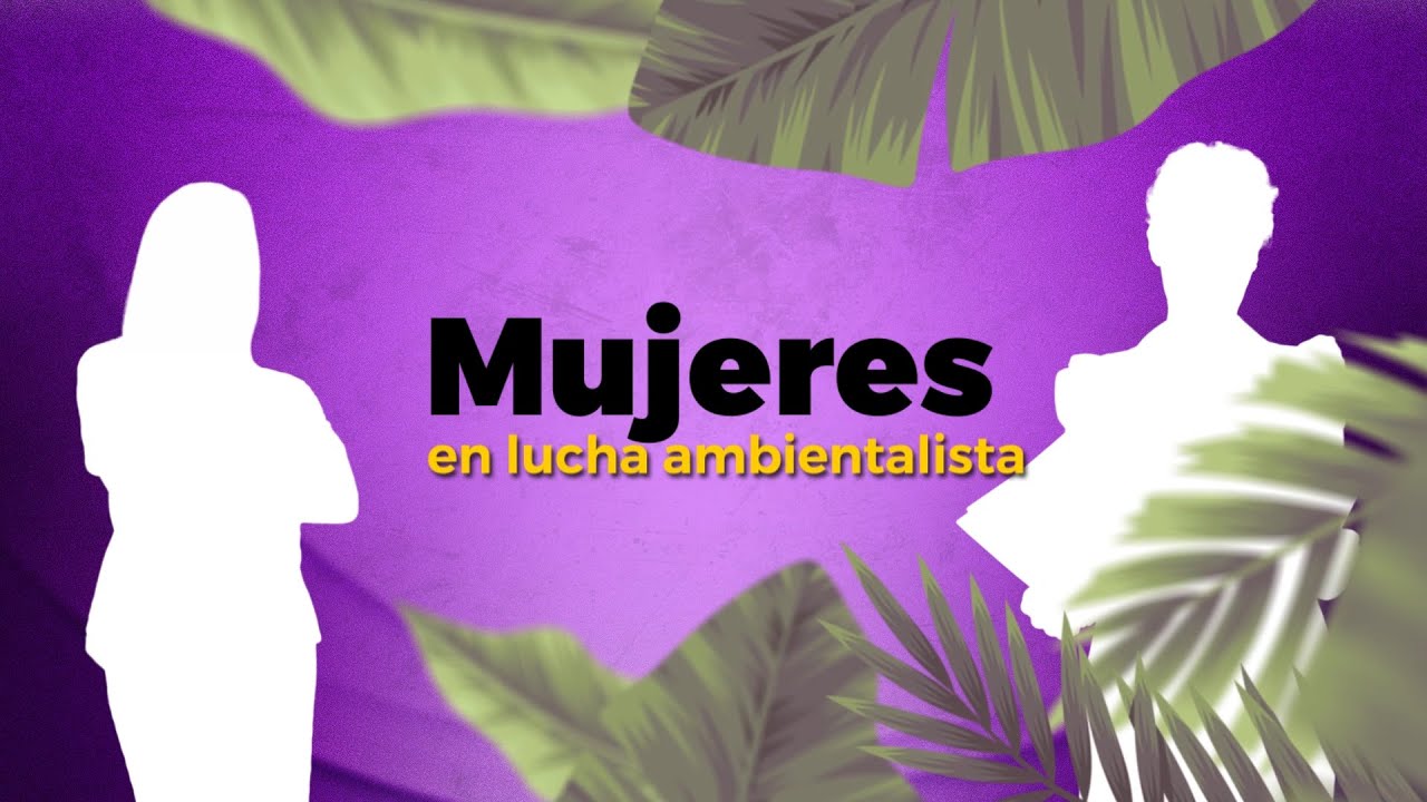Mujeres en lucha ambientalista (2021)