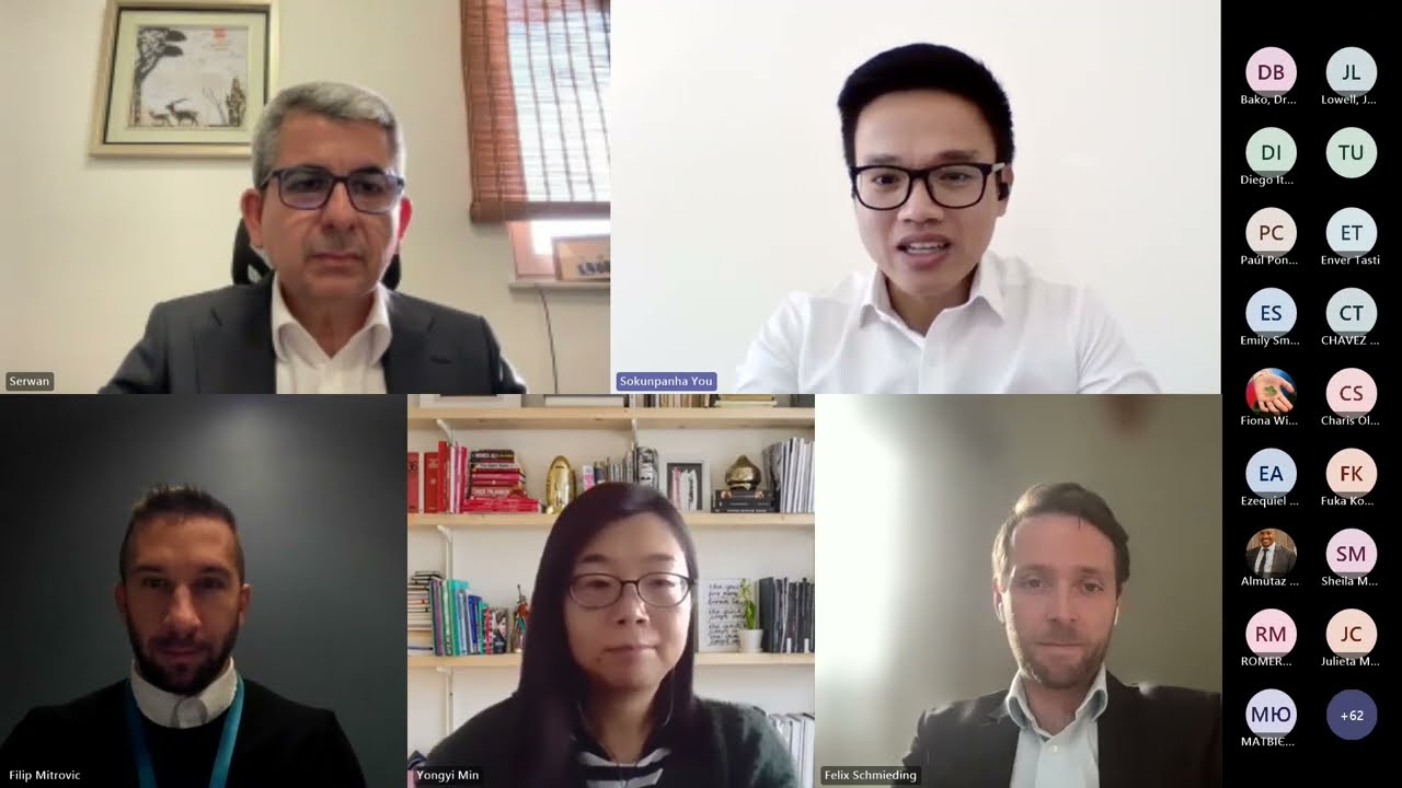 Identifying Refugees and IDPs in Household Surveys: An EGRISS Methodological Paper