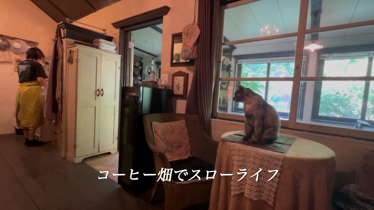 【60代女性】心を癒す自然の豊かな暮らし。/パッチワークのコースター可愛く完成。/シニアのライフスタイル。