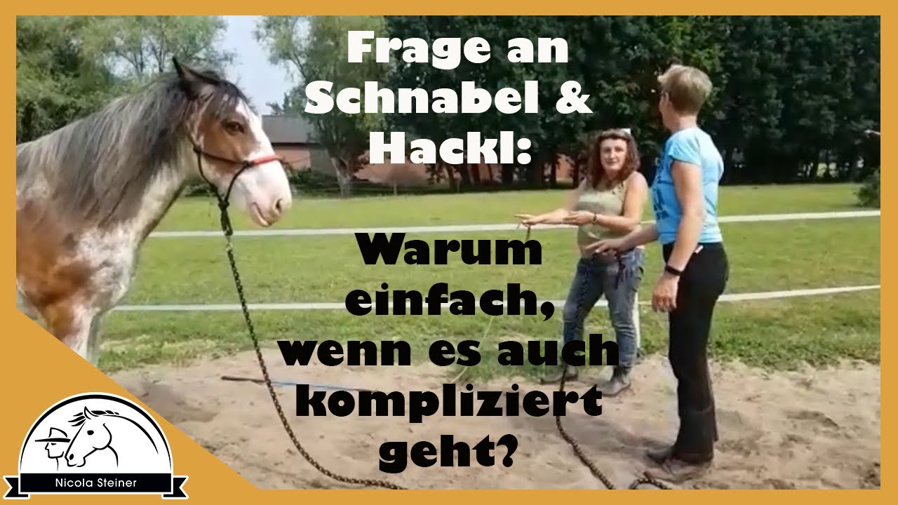 Pferd wird WC-Ente: Bernd Hackl entlarvt sich selbst - kein Westerntrainer | Pferdeprofis Review 5