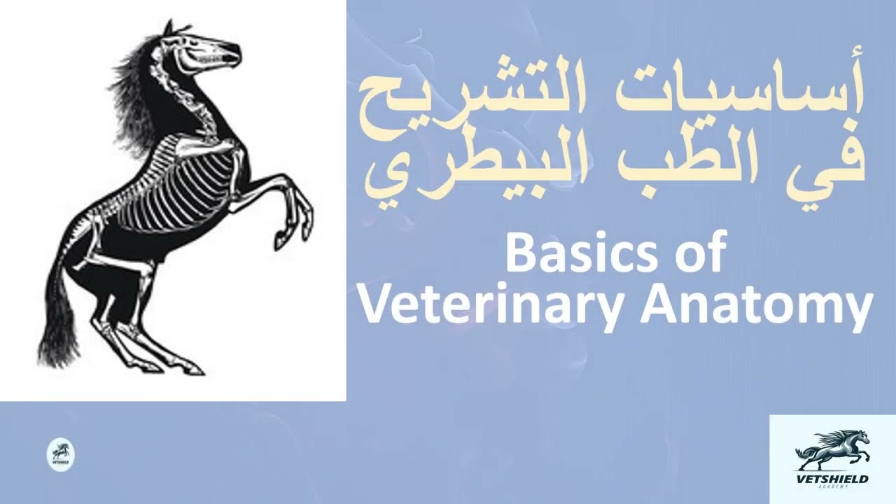 #تشریح Anatomy 