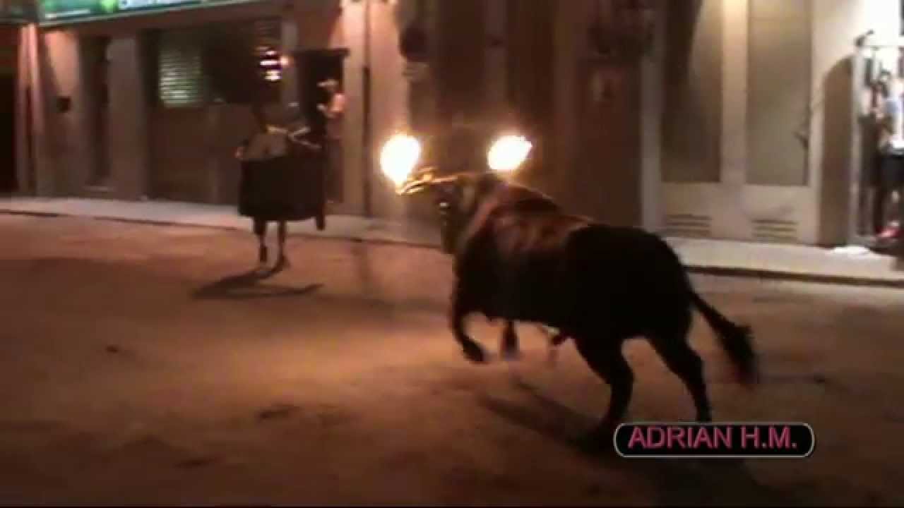 VIDEOCLIP DVD BOUS ADRIÁN HERNÁNDEZ MARÍ 2ºPARTE 1º DVD