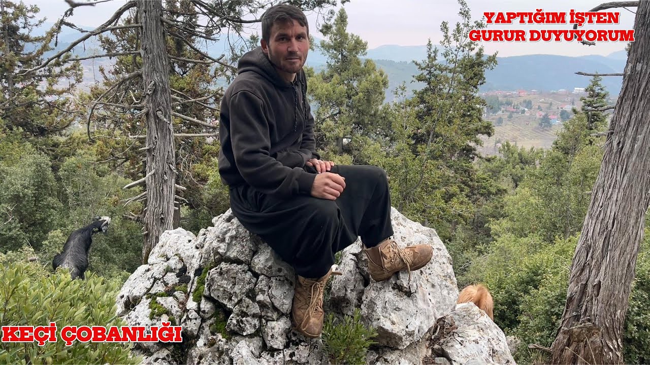 Борьба за выживание в одиночку в горах Тельца — выпас коз | Документальный фильм