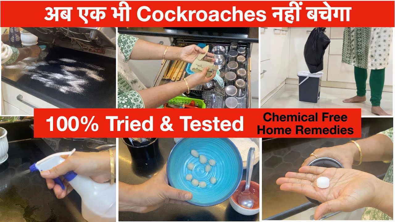 How to Get Rid of Cockroaches? Chemical Free, Home Remedies|कॉकरोच को जड़ से खत्म करने के घरेलु उपाय