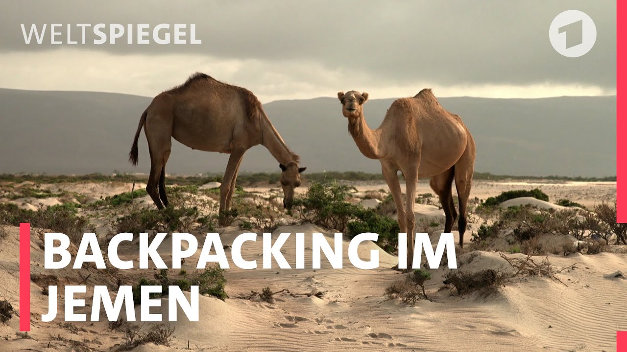 Urlaub in Sokotra  - die Insel am Horn von Afrika
