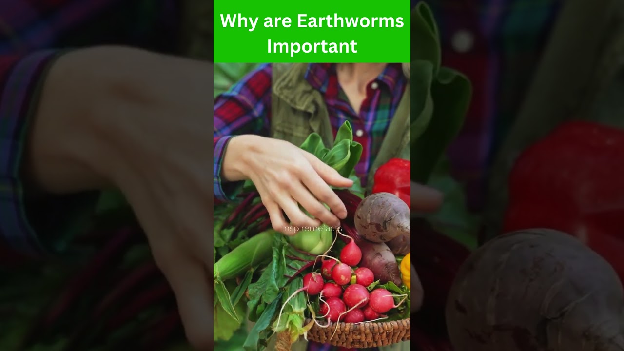 Why are Earthworms Important for Humans | Importance of Earthworms #facts #shorts #interestingfacts