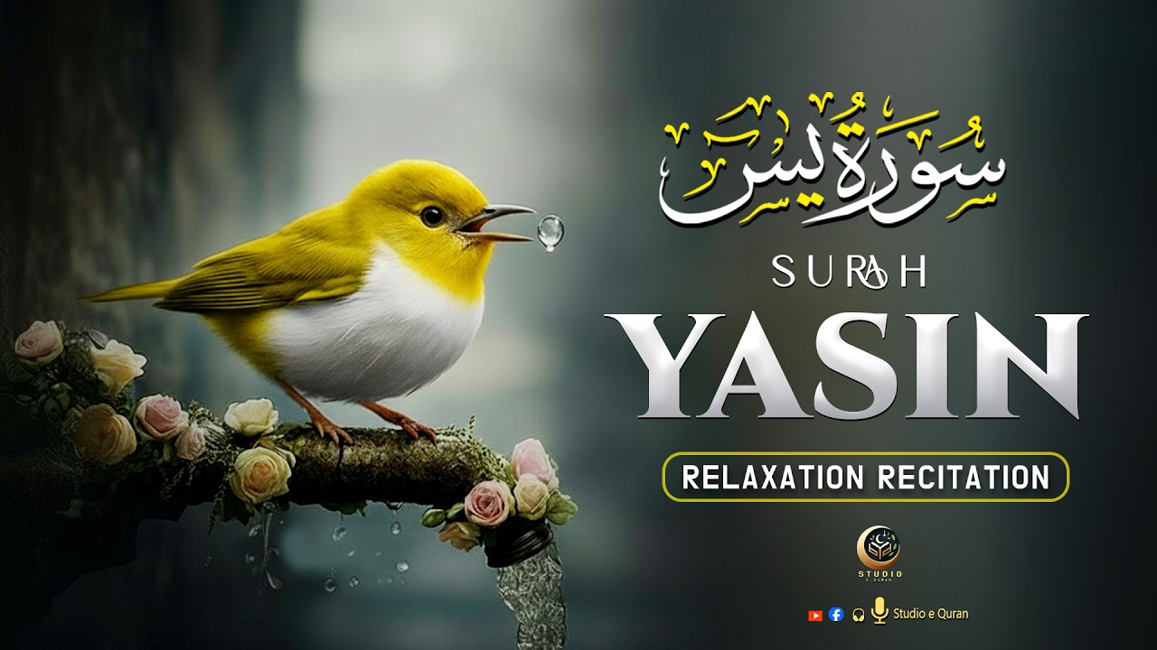 Surah Yaseen (Yasin) سورة يس। Magical Voice Recitation Full Of Mercy Love And Peace - Studio-e-Quran