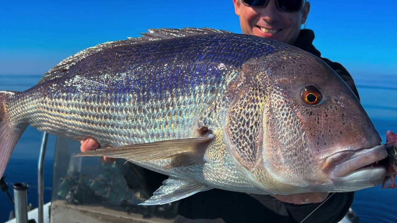 Pesca in verticale Dentici e San Pietro - JLC Lures Italia