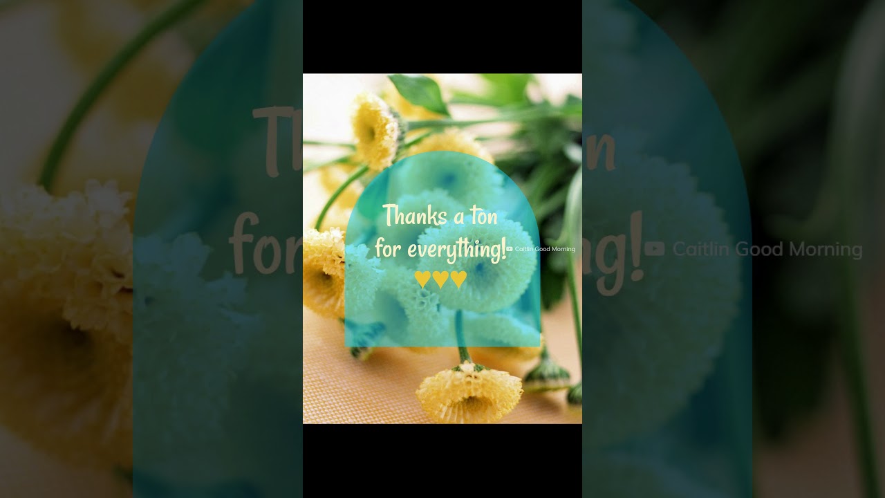 #shorts #thankyounote #thankyou Thank You Messages, Thank You Note, Wishes and Quotes | Season 3