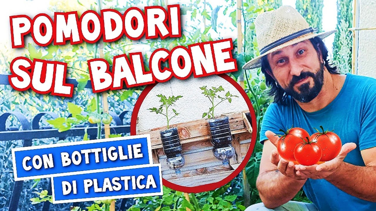 Pomodori sul balcone - come coltivarli in vaso e anche nelle bottiglie di plastica