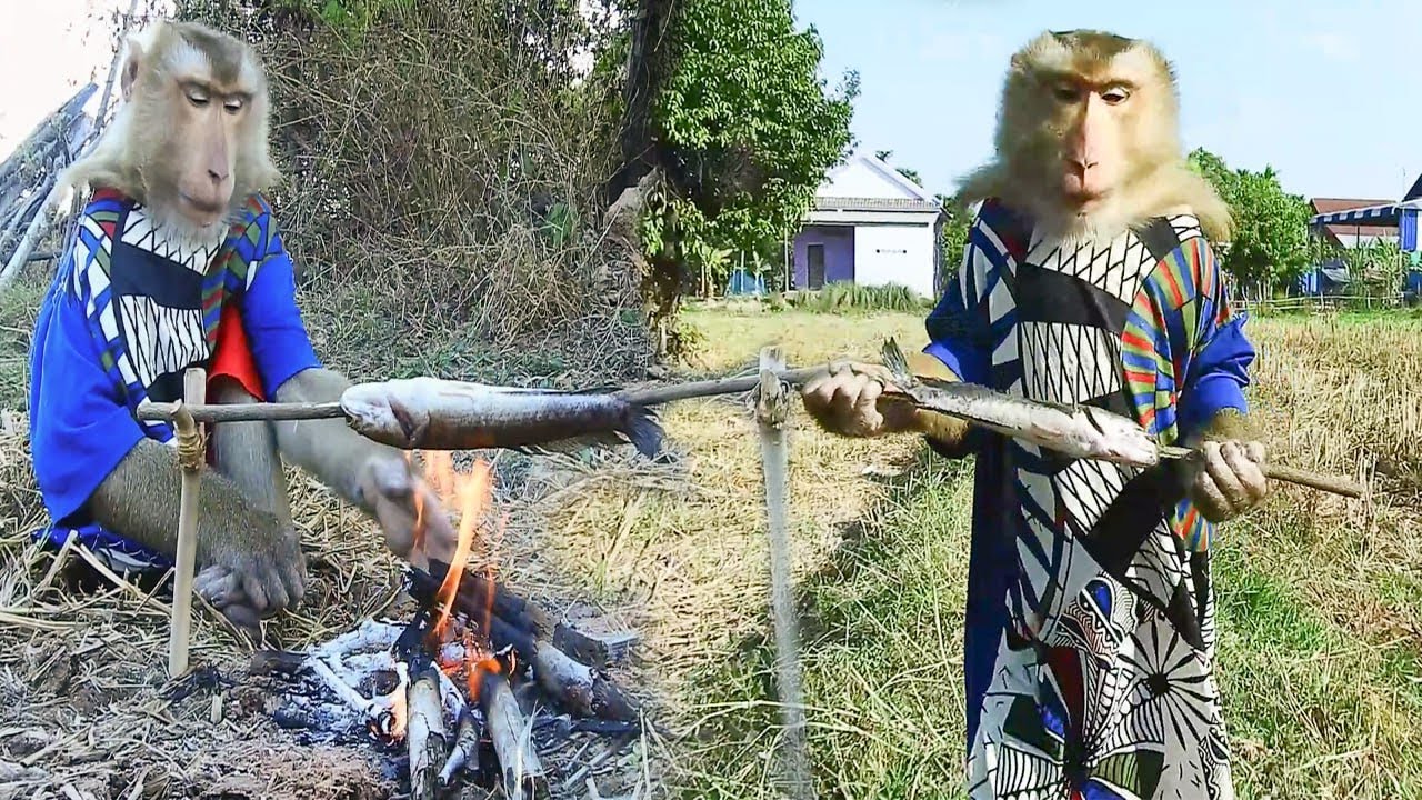 Amazing SokYaa Cooking Fish on Fire 🔥 Unbelievable Skills!
