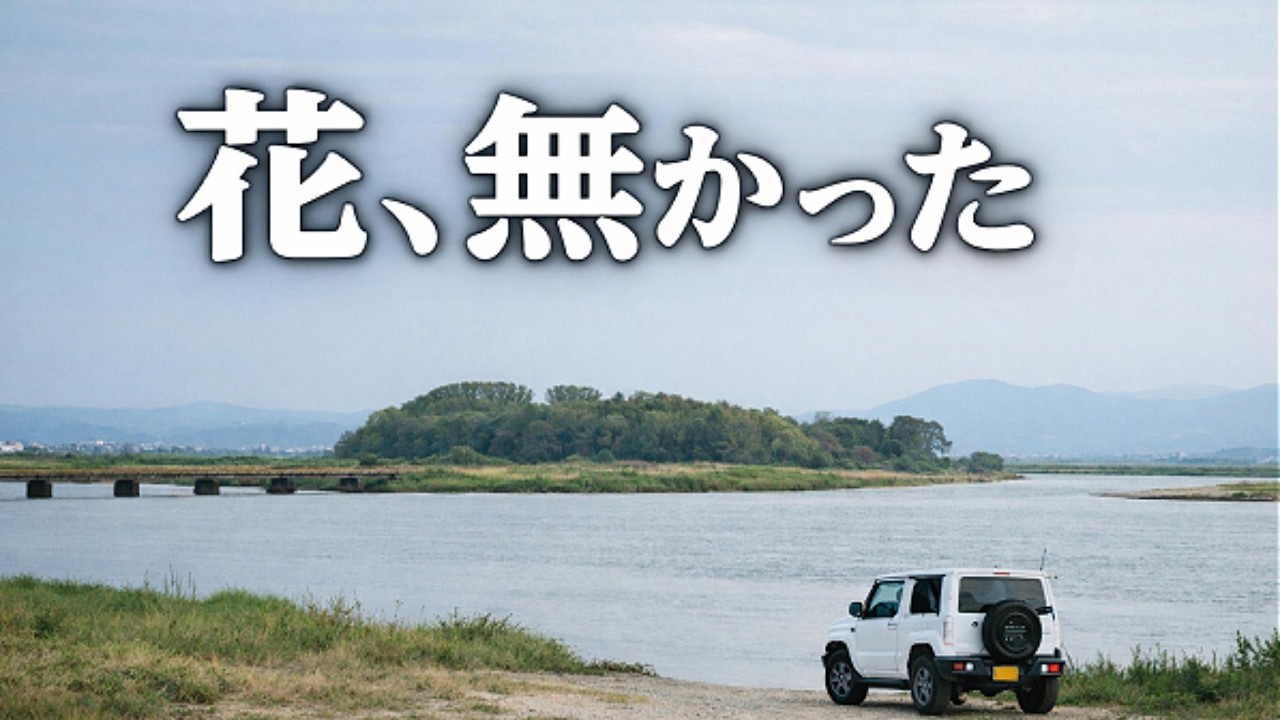 花、無かった