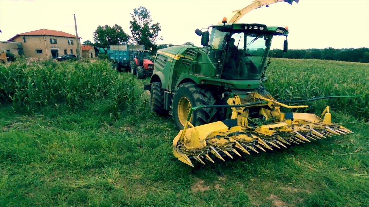 ENSILAGE MAÏS GAEC DU PETIT DOMAINE 2019