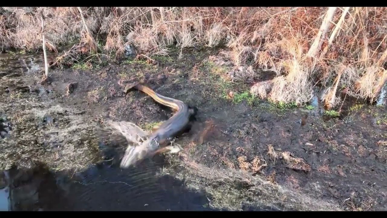 Mavic 3 crash while kayaking at the lake.