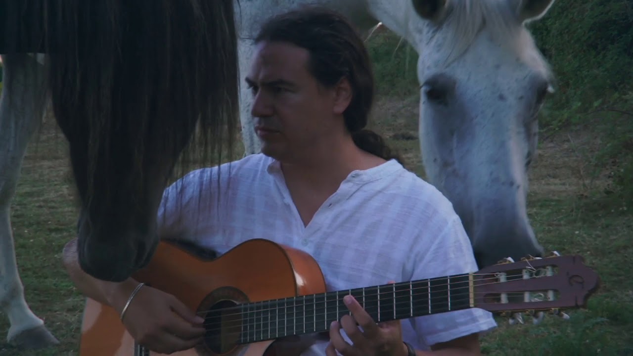 NOTHING ELSE MATTERS  classical guitar 🐴 (Metallica) | Guillermo Fdez
