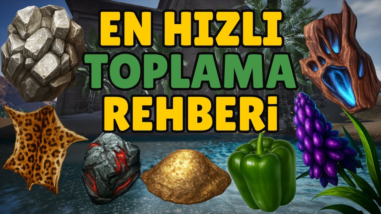 EN HIZLI TOPLAMA REHBERİ RİSE ONLİNE