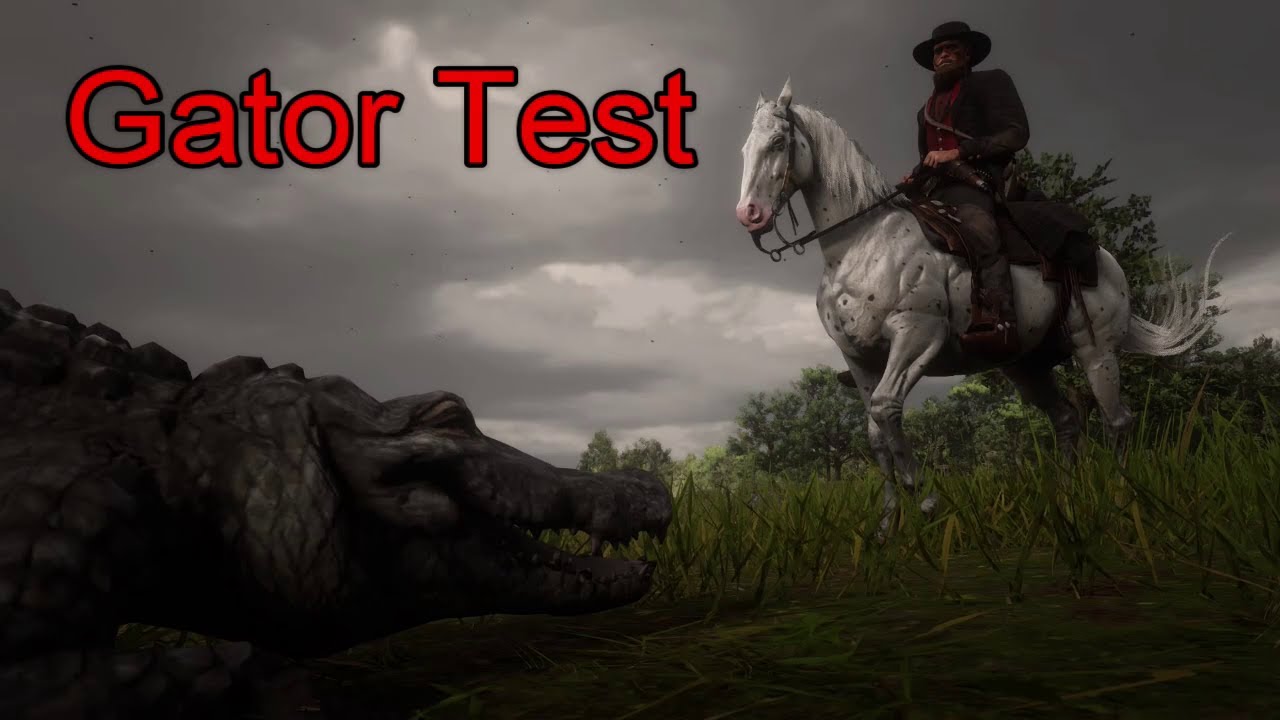 Few Spotted Appaloosa Gator Test : Red Dead Redemption 2