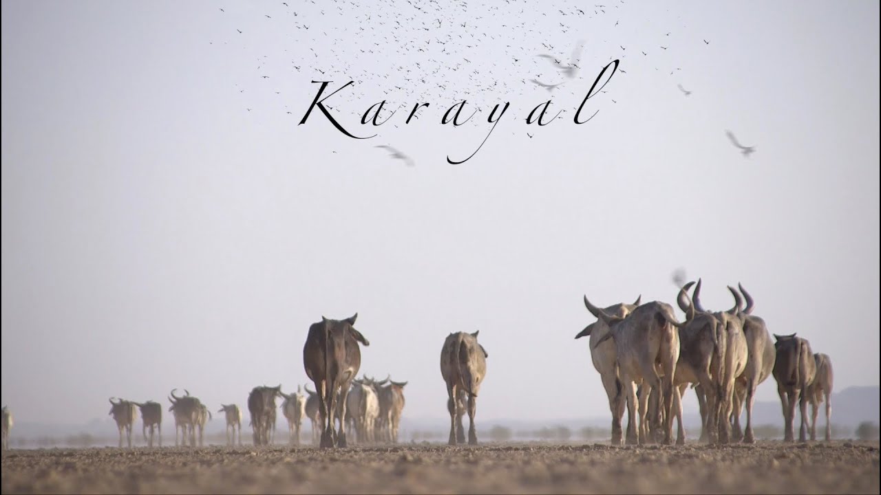 Karayal (Swan Story)