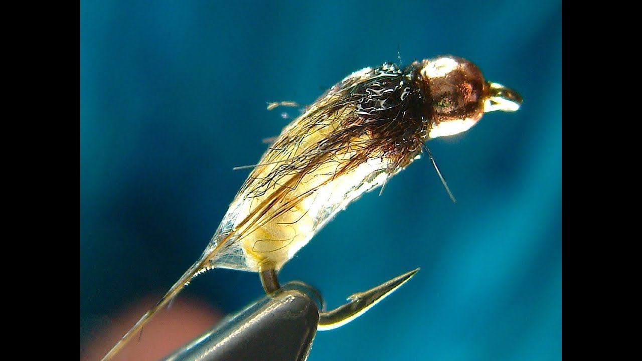Tying the Catgut Caddis Pupa with Davie McPhail