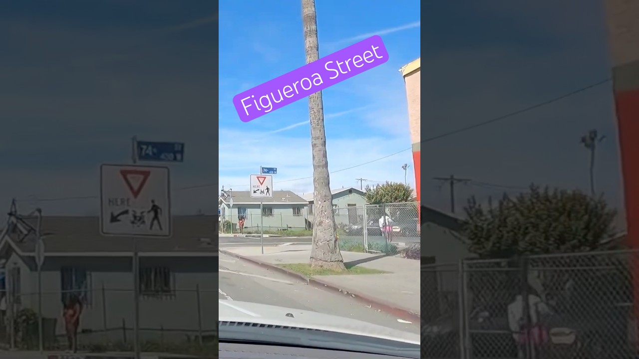 Welcome to FIGUEROA STREET LA🌴🌴 #travel