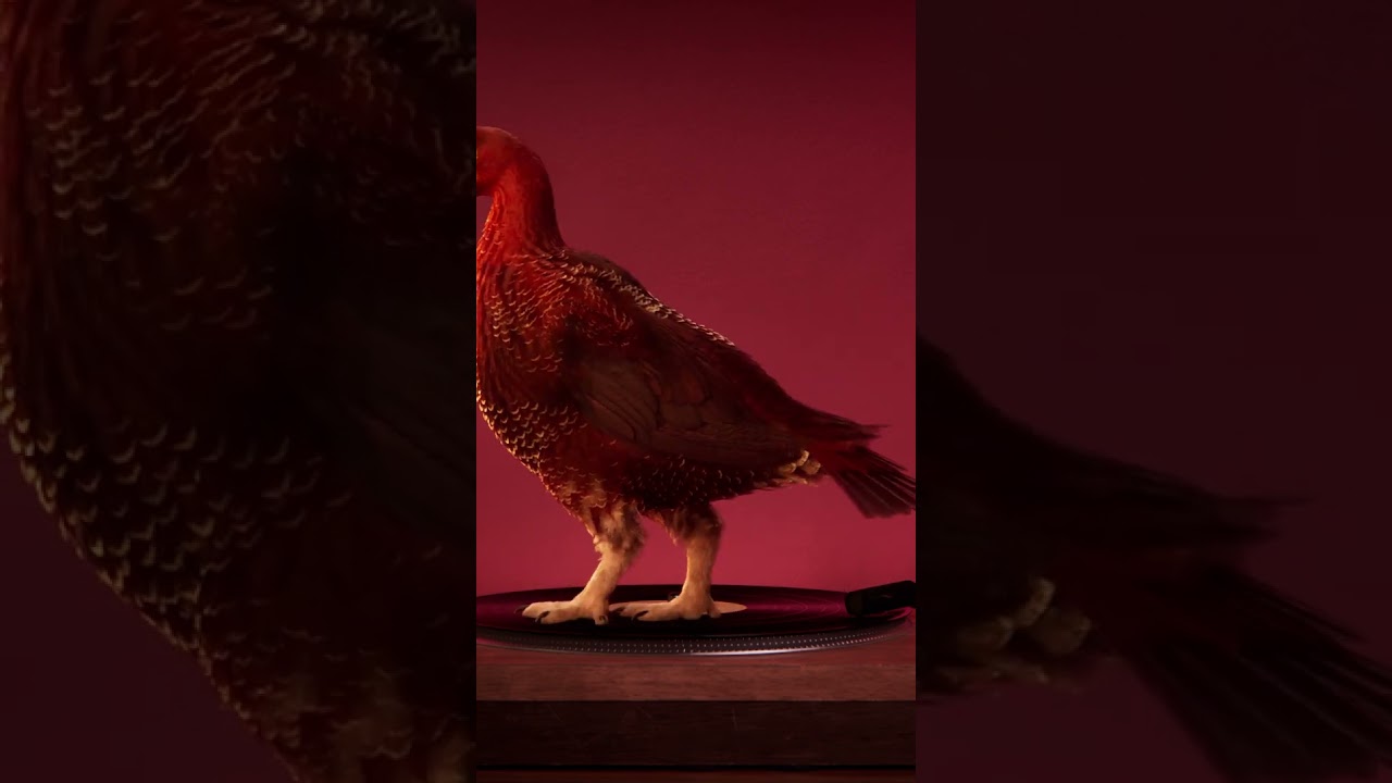 The Famous Grouse - Full of Character 20'