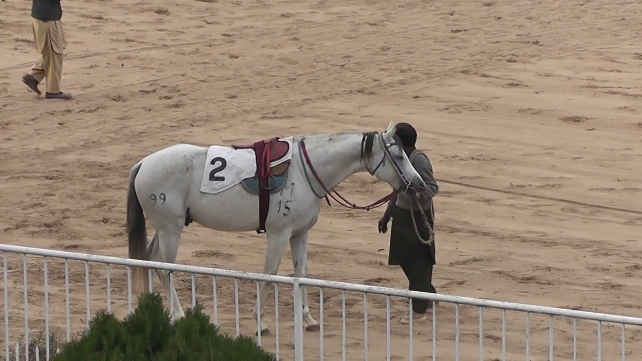 RAWALPINDI RACE CLUB
