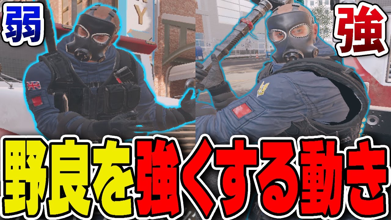 野良が弱い理由は