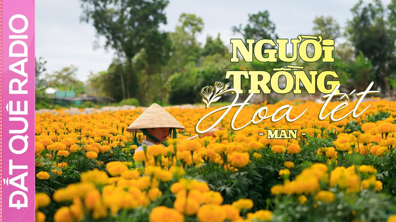 Truyện ngắn NGƯỜI TRỒNG HOA TẾT - Nỗi trăn trở của nông dân bán bông ngày Tết