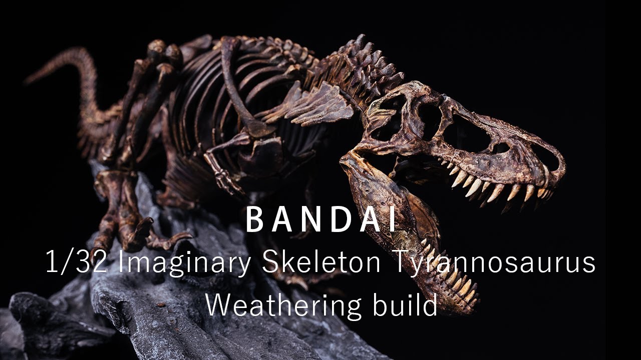1/32 imaginary skeleton Tyrannnosaurus  T-REX