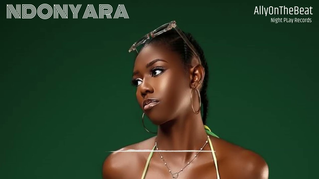 [Free] ZimDancehall Riddim Instrumental 2026 ( Ndonyara ) Dancehall beat