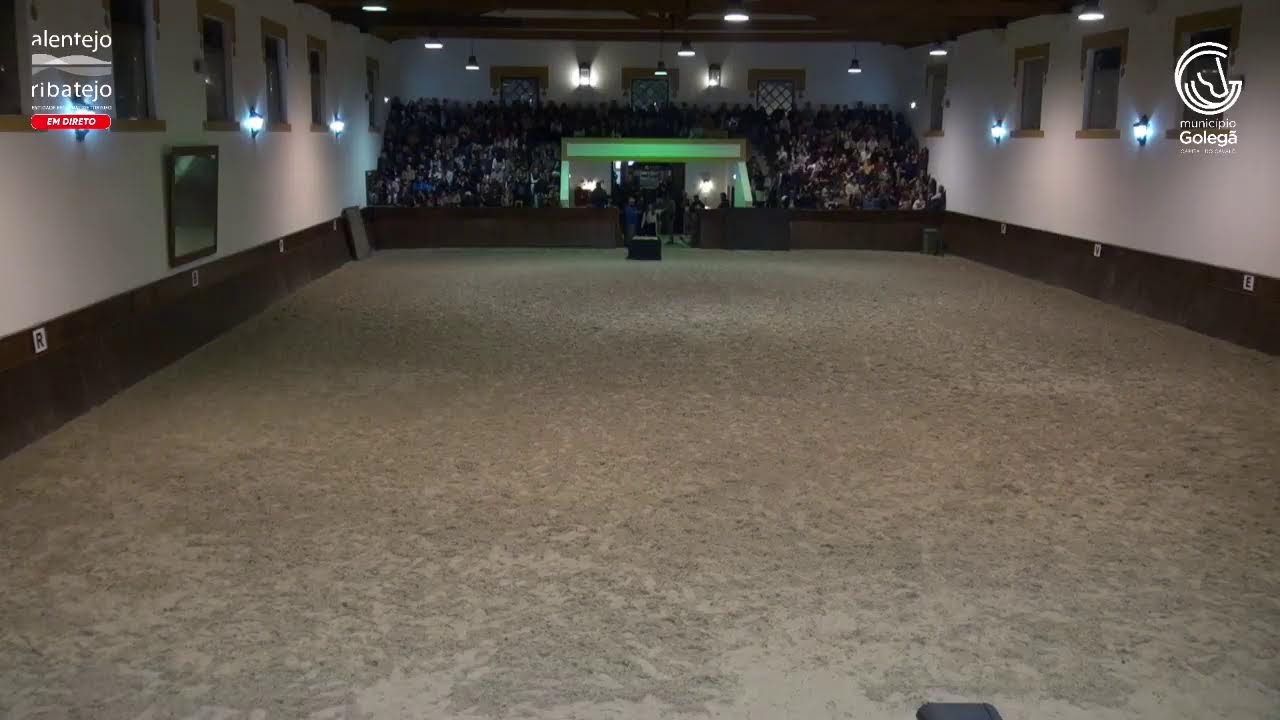 FEIRA NACIONAL DO CAVALO GOLEGÃ 2025 - 9º DIA DE EVENTO - TARDE - 15/11/2025
