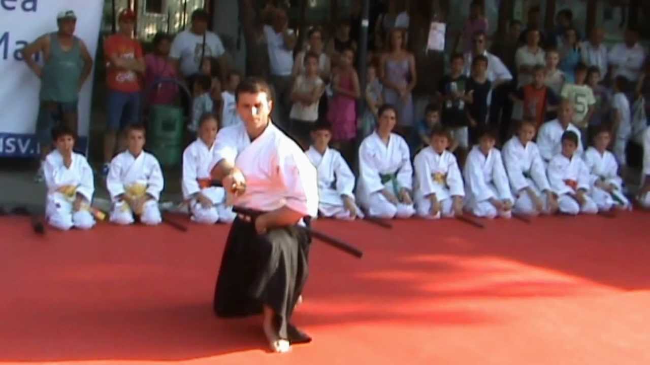 Aikido Aikikai si Tenshin Shoden Katori Shinto Ryu - Romania
