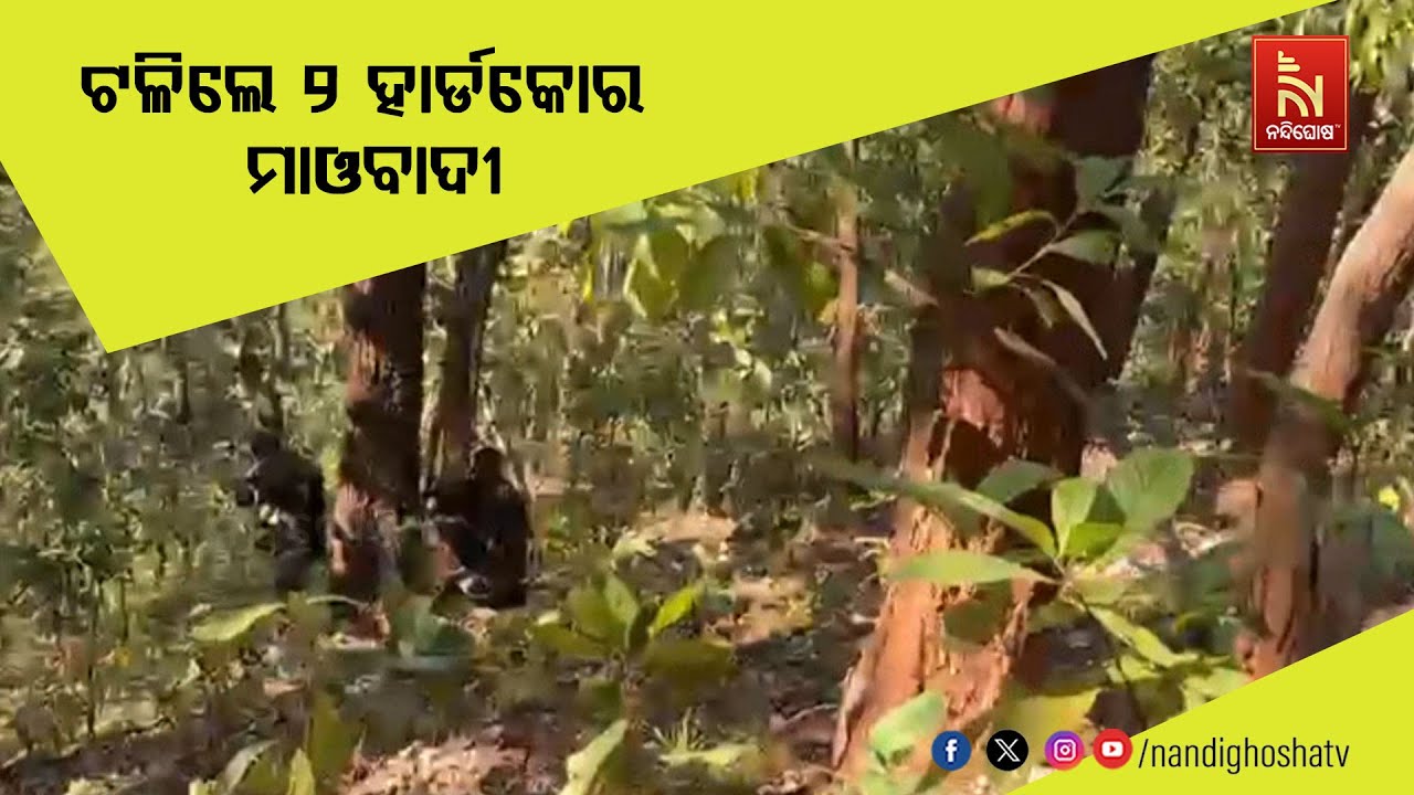 ଓଡିଶା - ଝାଡ଼ଖଣ୍ଡ ସୀମାରେ ସୁରକ୍ଷା କର୍ମୀ-ମାଓବାଦୀ ଗୁଳି ବିନିମୟ ; ଟଳିଲେ ୨ହାର୍ଡକୋର ମାଓବାଦୀ