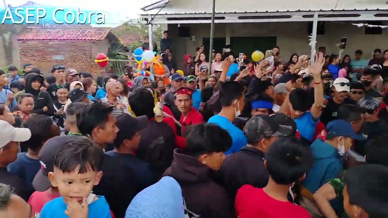 Ls REAK KOMBINASI KUDA RENGGONG MUSTIKA RAJAWALI KP WALINI 