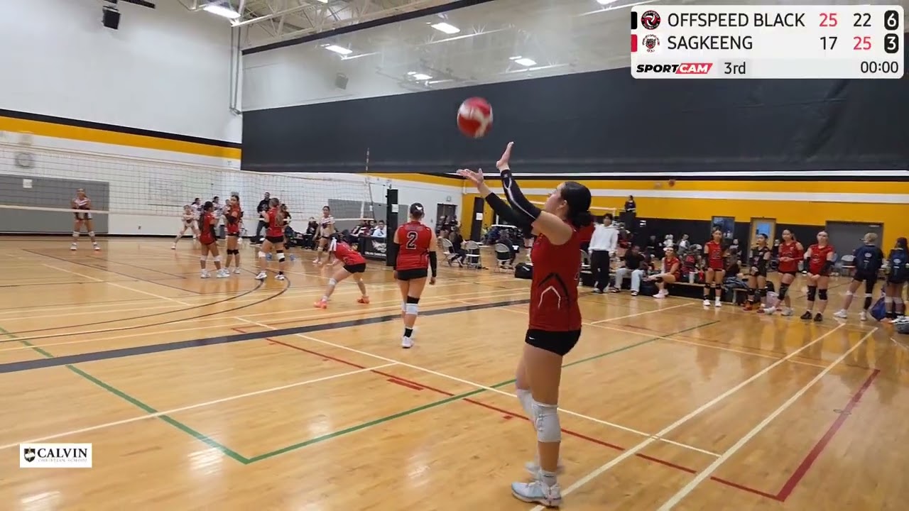 Set 3 HIGHLIGHTS