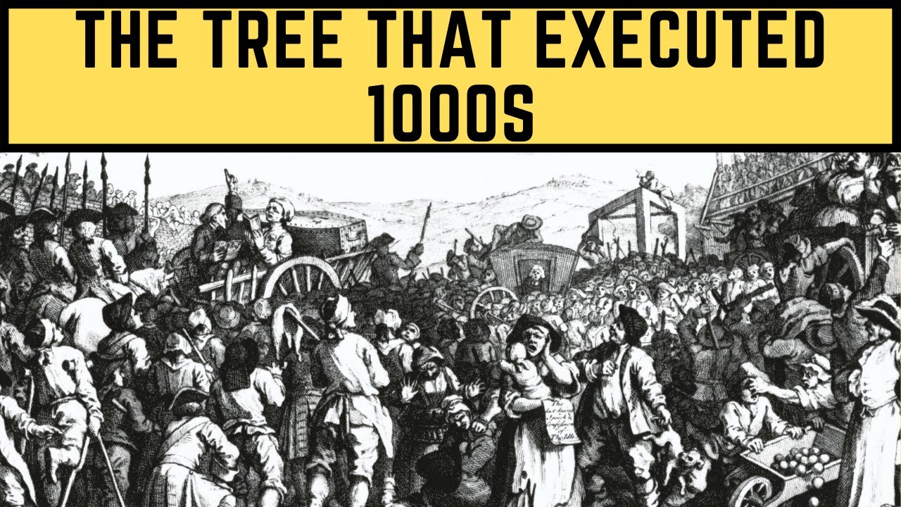THE TREE THAT EXECUTED THOUSANDS!