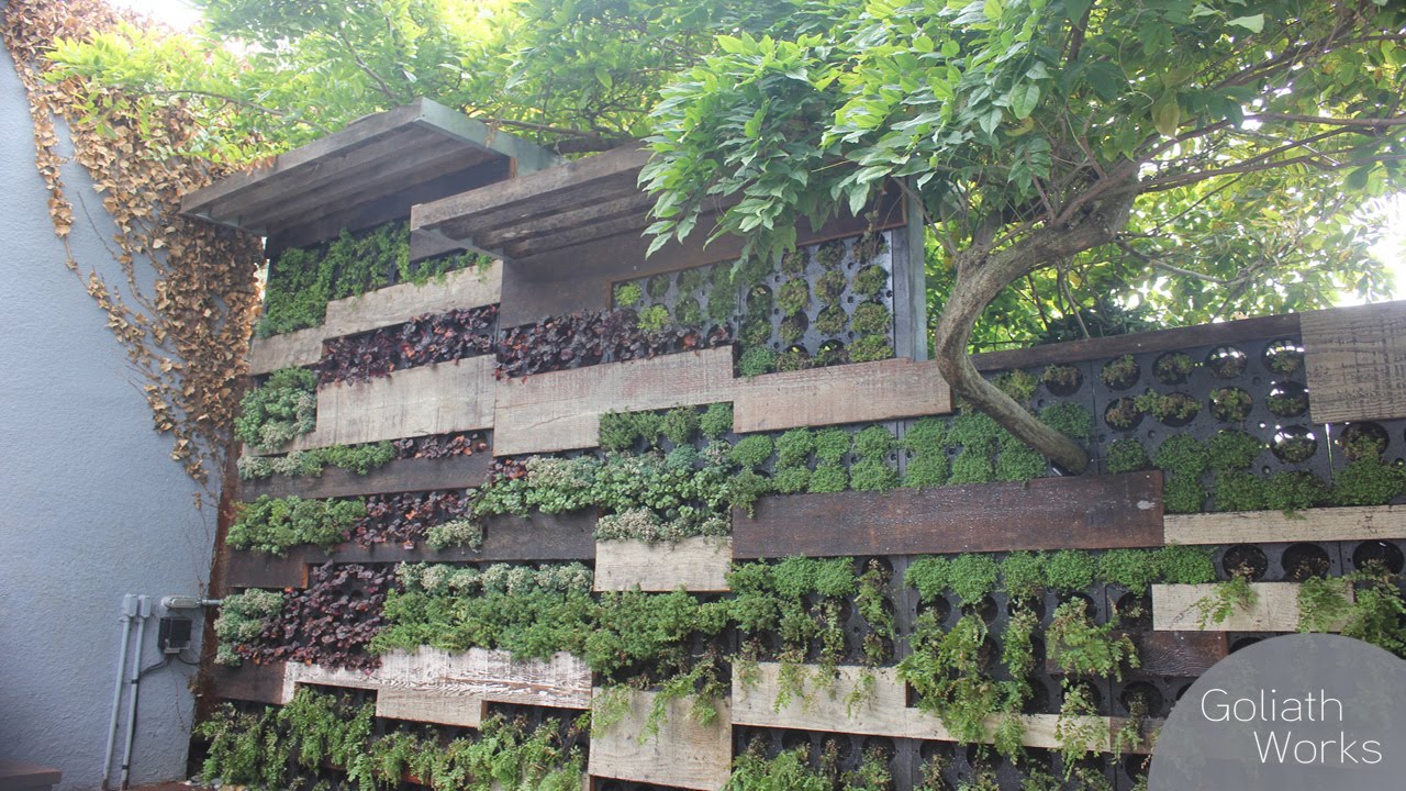 A Living Wall with Wisteria