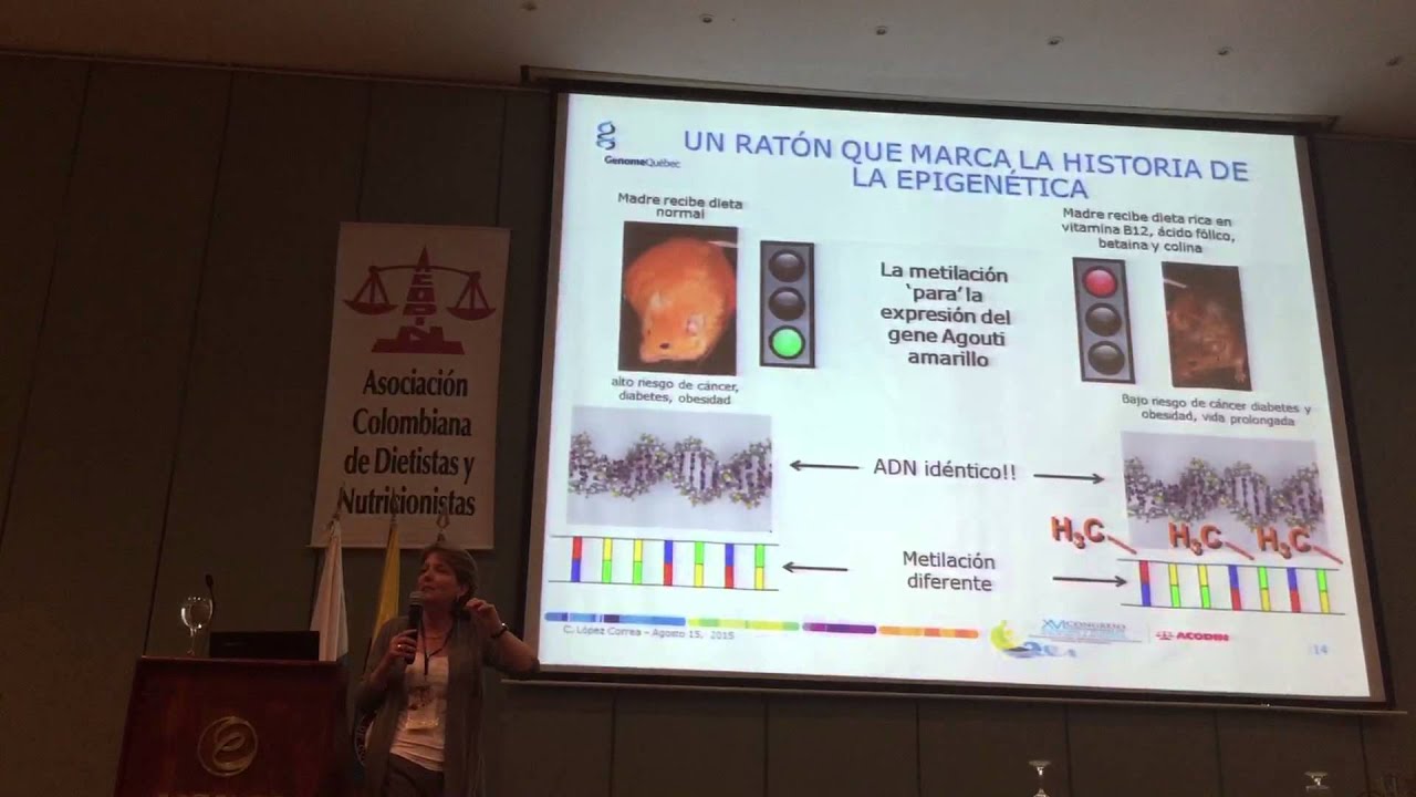 Epigen&eacute;tica BioGenomas