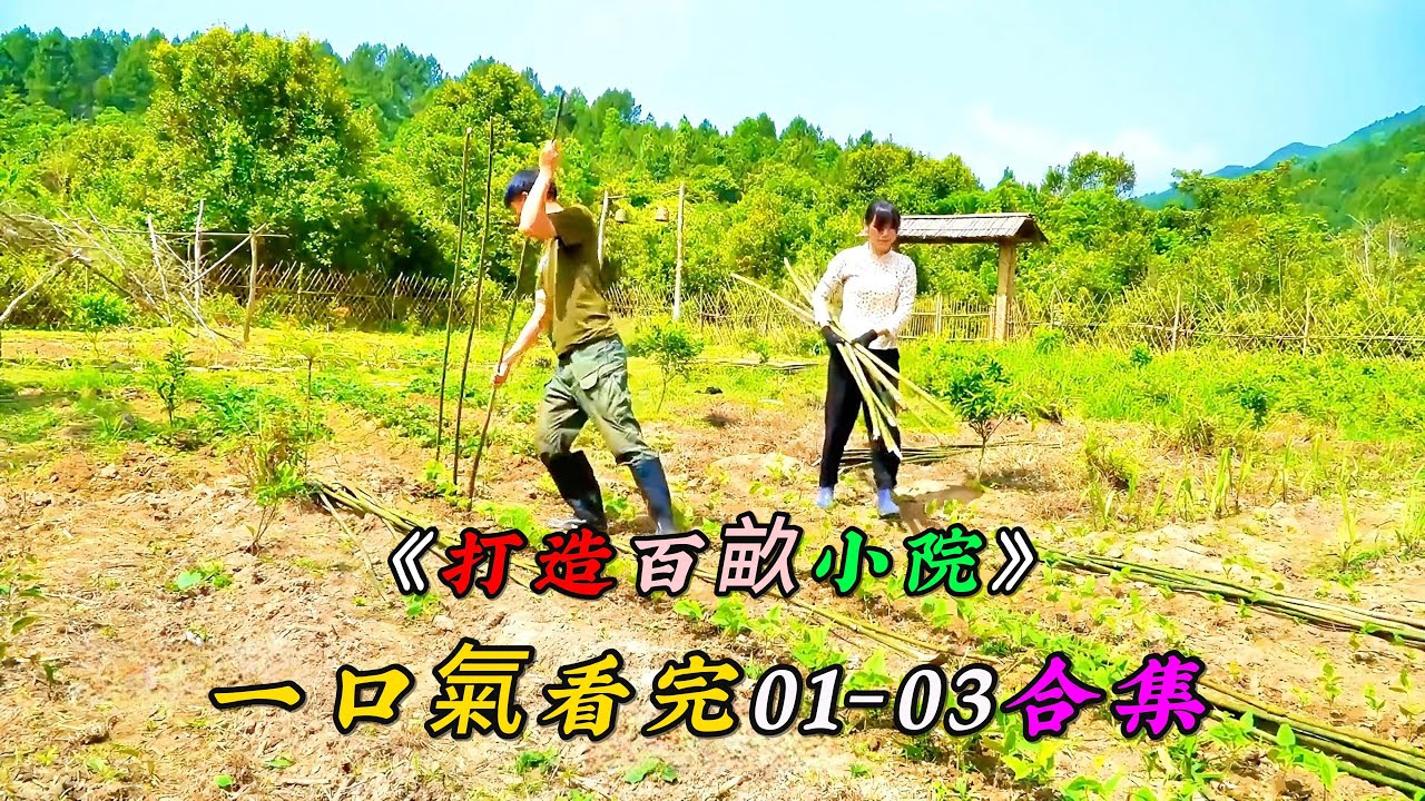 一口氣看完《打造百畝小院》1-3合集